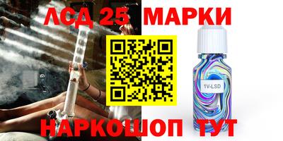 спайс Тара