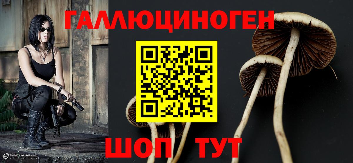 Псилоцибиновые грибы Psilocybine cubensis  Вход с VPN  Назрань 